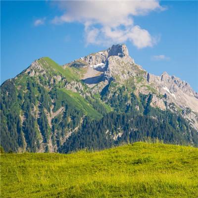 鲲的进化之旅手游(暂未上线)v2.0.11 安卓版