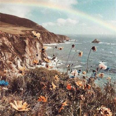 剑灵诀最新版公测版下载